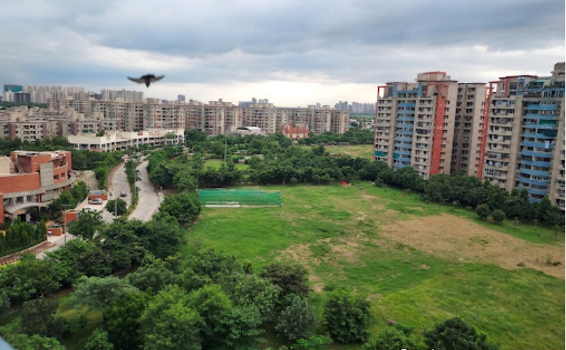 AWHO_a cityscape of a city with buildings and trees